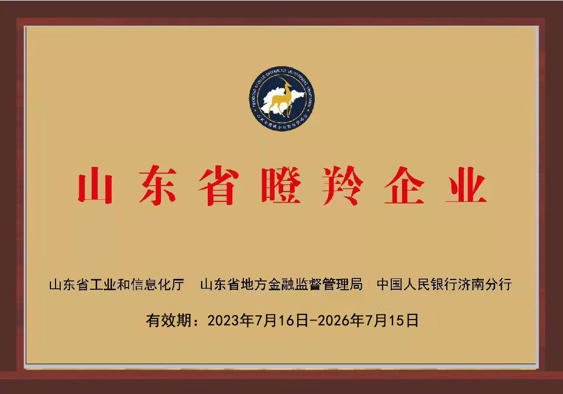 山東省瞪羚企業(yè)
